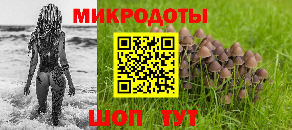 Псилоцибиновые грибы ЛСД  Галлюциногенные грибы Psilocybine cubensis  Вход с VPN  Советск 
